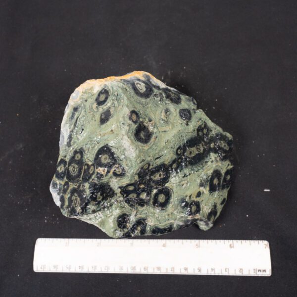 Kambaba Jasper Rough