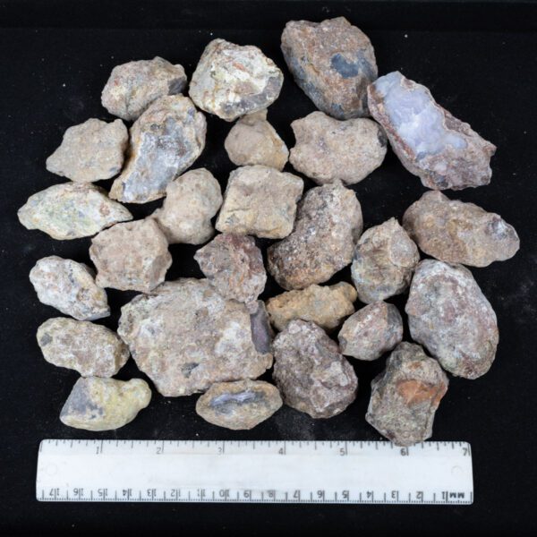 Laguna Agate Nodules