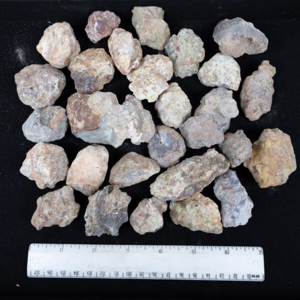 Laguna Agate Nodules