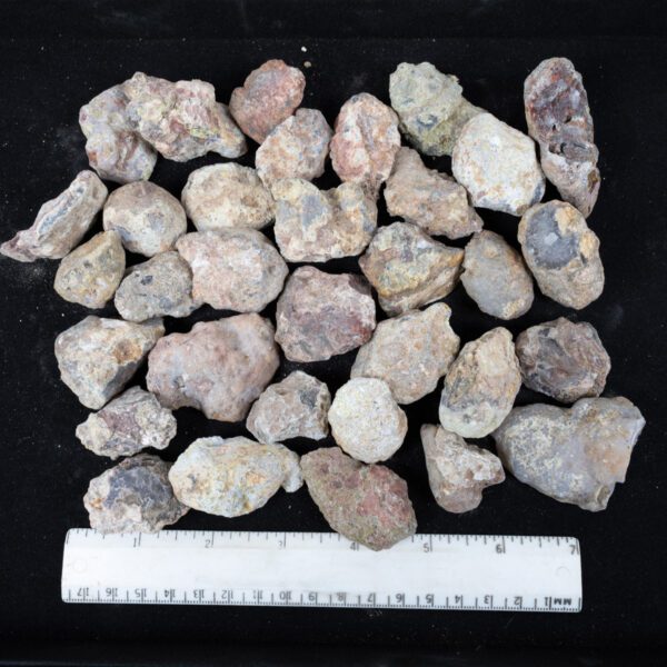 Laguna Agate Nodules