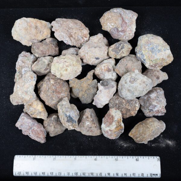 Laguna Agate Nodules