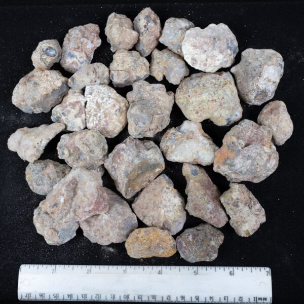Laguna Agate Nodules