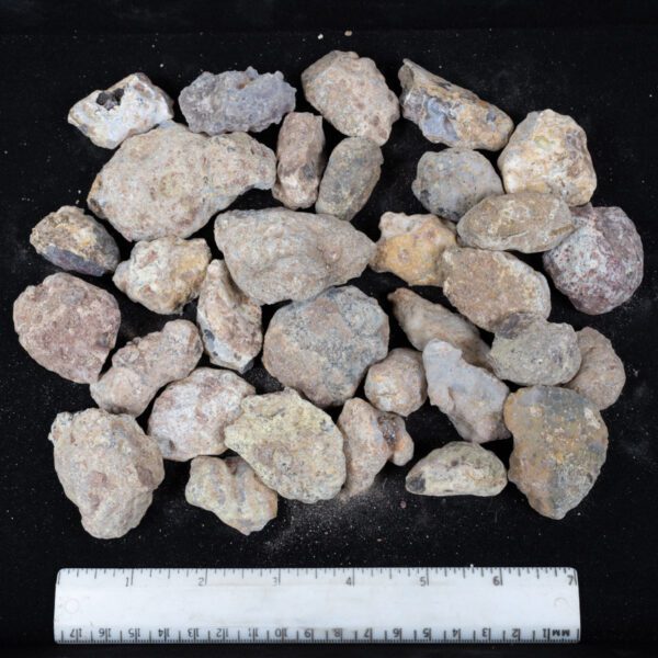 Laguna Agate Nodules