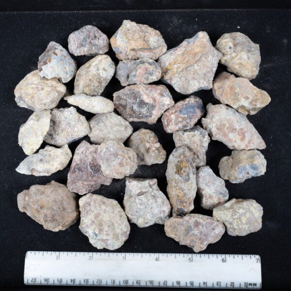 Laguna Agate Nodules