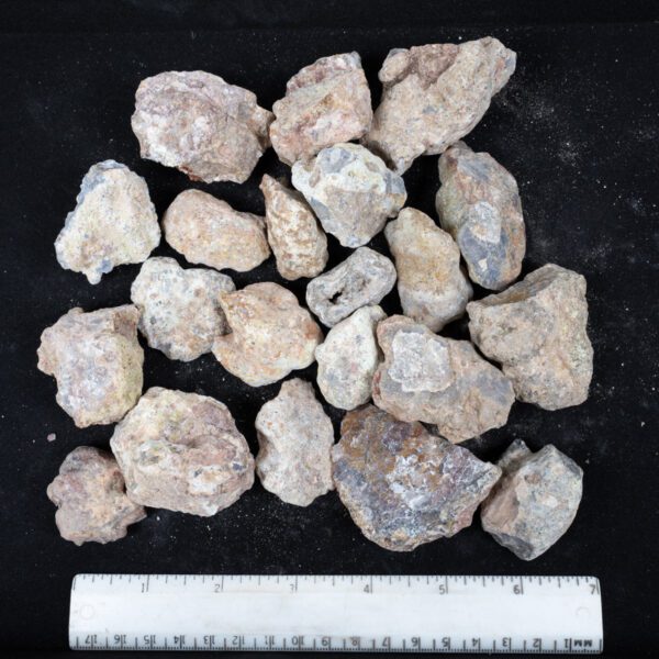 Laguna Agate Nodules