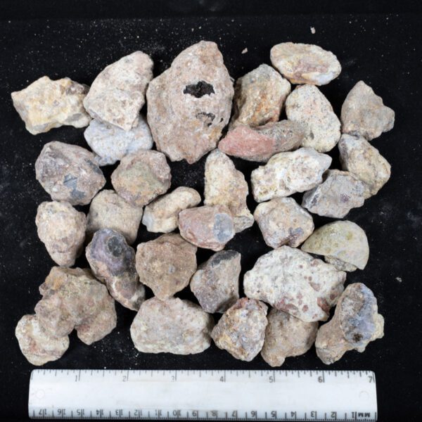 Laguna Agate Nodules