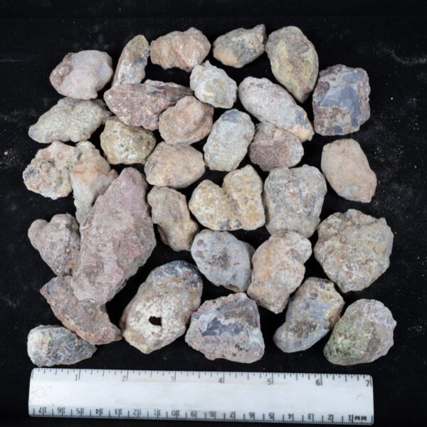 Laguna Agate Nodules