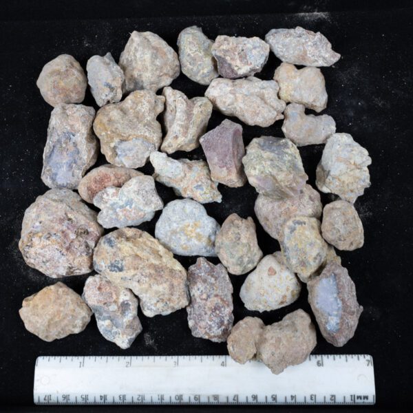 Laguna Agate Nodules