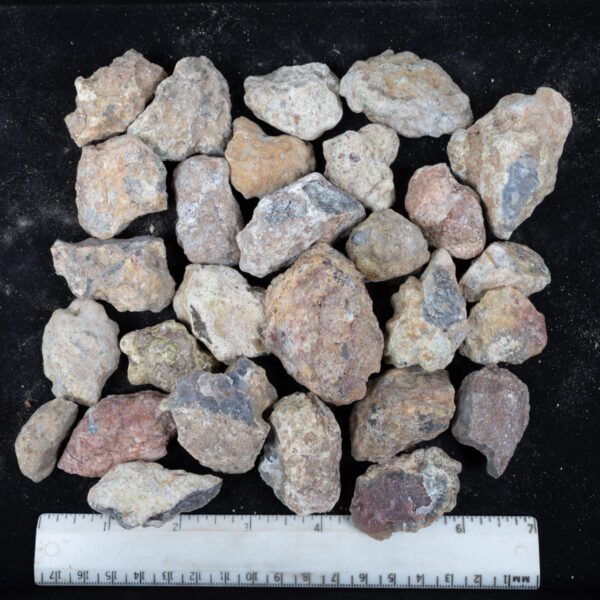 Laguna Agate Nodules