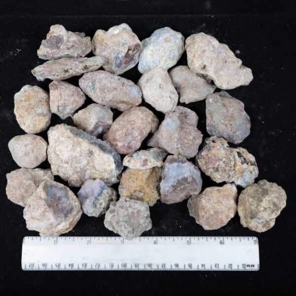Laguna Agate Nodules