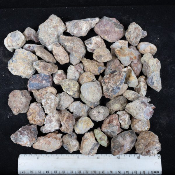 Laguna Agate Nodules