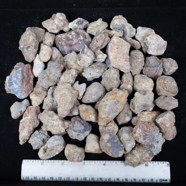 Laguna Agate Nodules