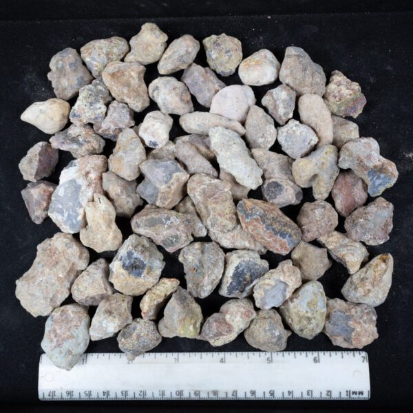 Laguna Agate Nodules