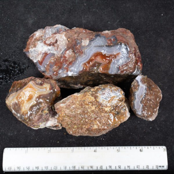 Laguna Agate Nodules