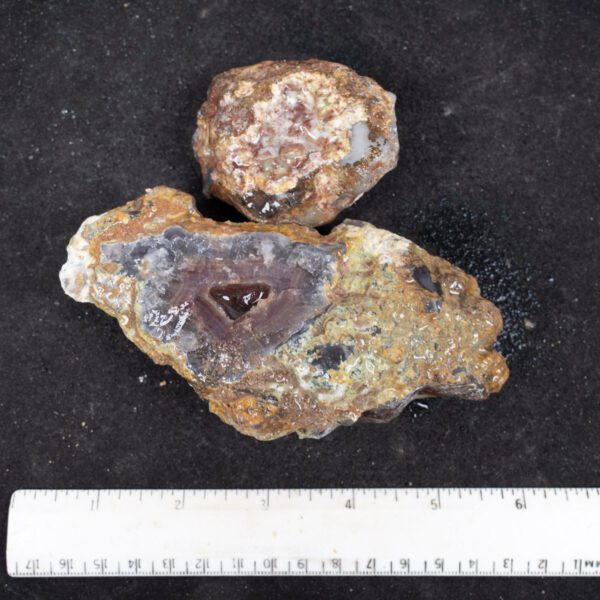 Laguna Agate Nodules