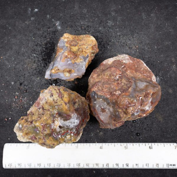 Laguna Agate Nodules