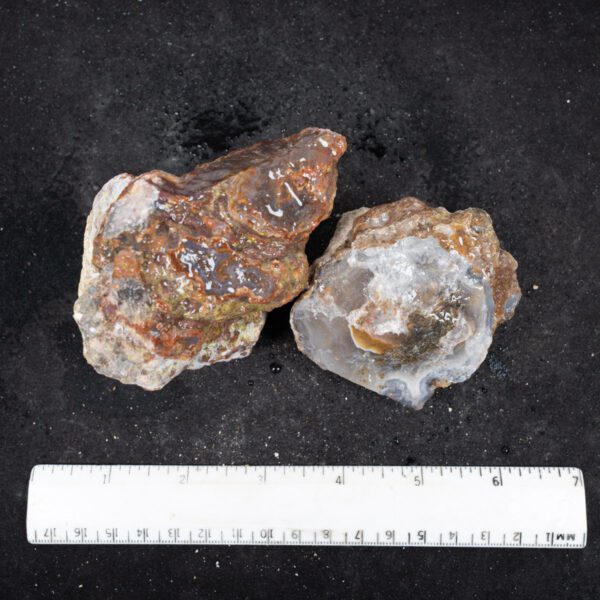 Laguna Agate Nodules