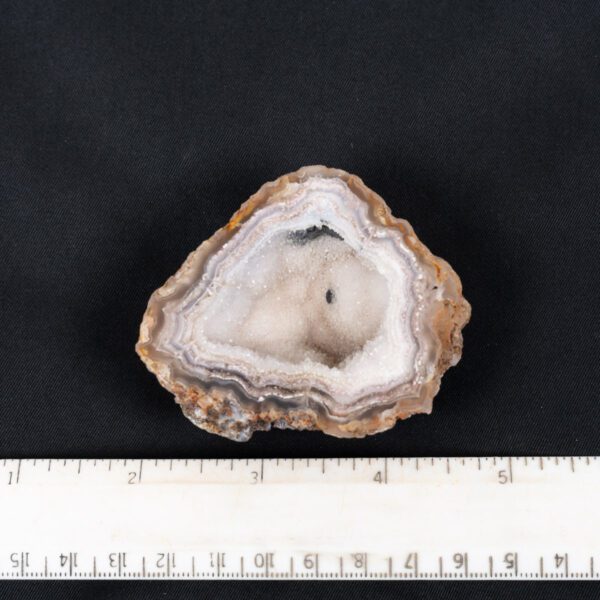 Laguna Agate Specimen