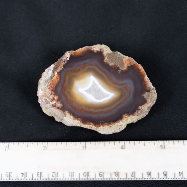 Laguna Agate Specimen
