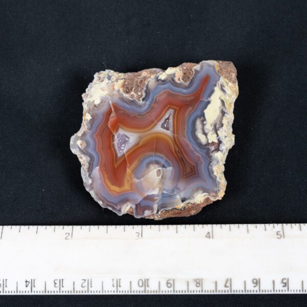 Laguna Agate Specimen