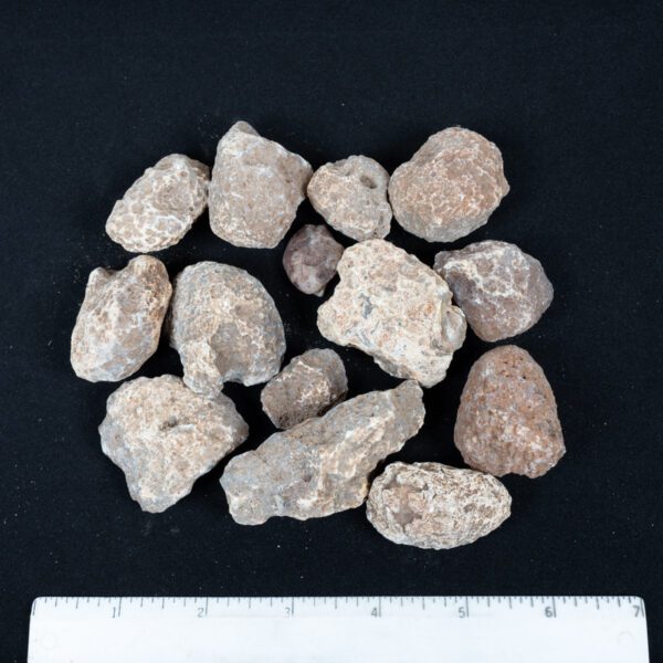 Moctezuma Agate Nodules