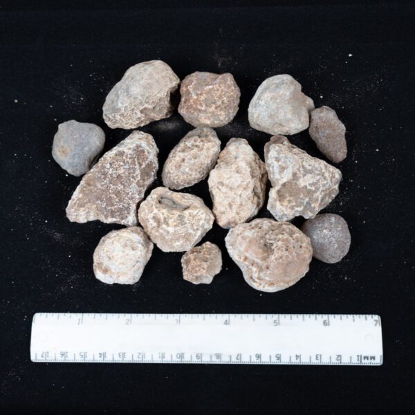 Moctezuma Agate Nodules
