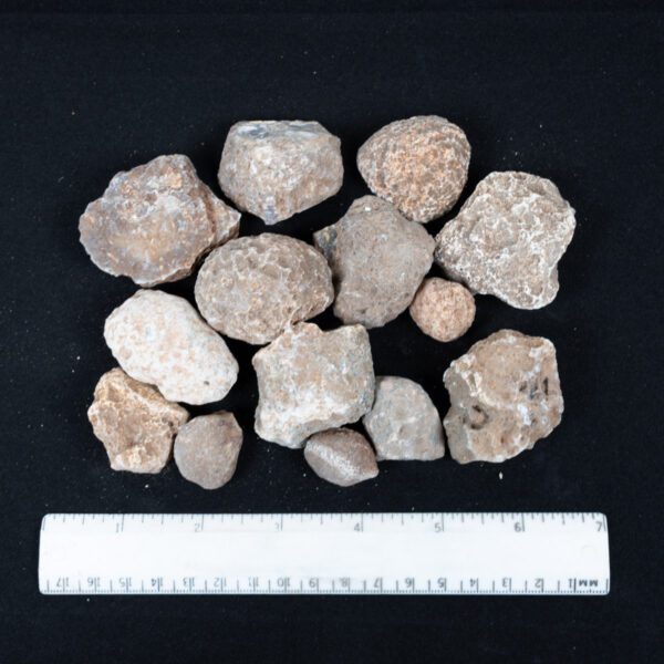Moctezuma Agate Nodules