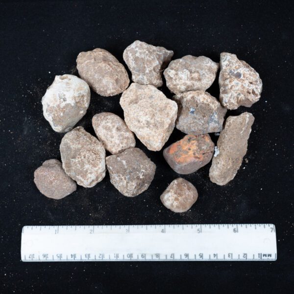 Moctezuma Agate Nodules
