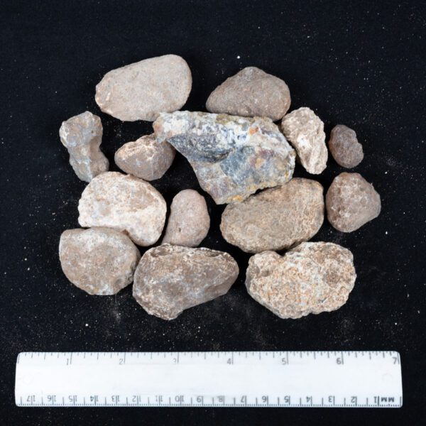 Moctezuma Agate Nodules