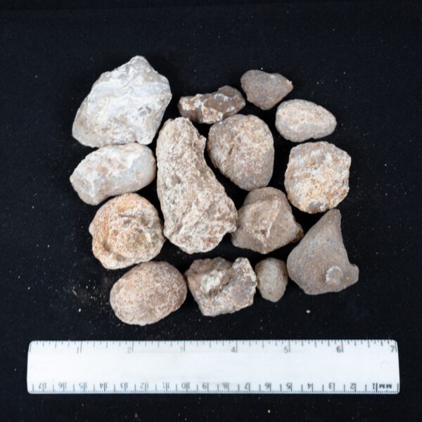 Moctezuma Agate Nodules