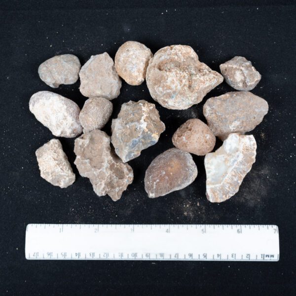 Moctezuma Agate Nodules
