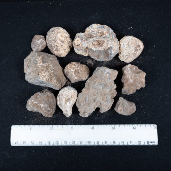Moctezuma Agate Nodules
