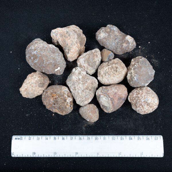 Moctezuma Agate Nodules