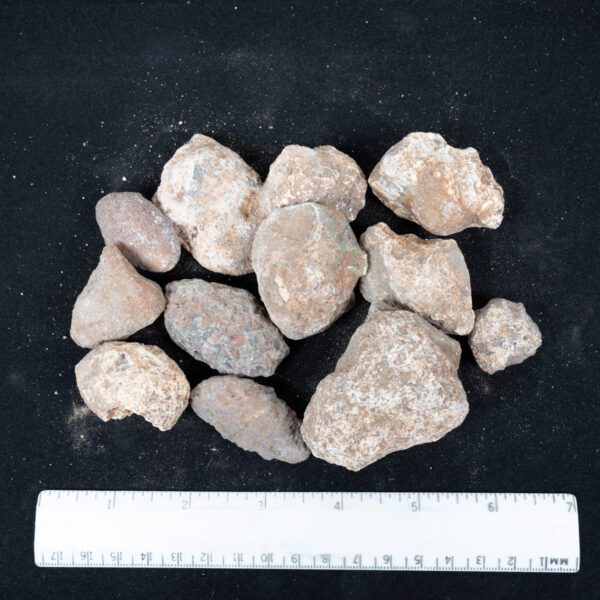 Moctezuma Agate Nodules
