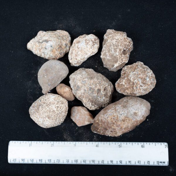 Moctezuma Agate Nodules