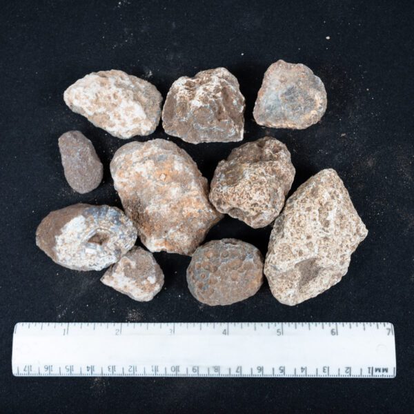 Moctezuma Agate Nodules