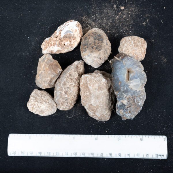 Moctezuma Agate Nodules