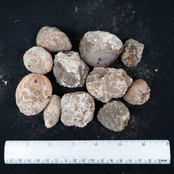 Moctezuma Agate Nodules