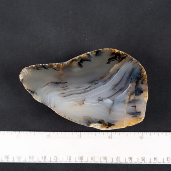 Montana Moss Agate Specimen