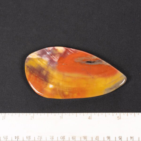 Petrified Wood Slab