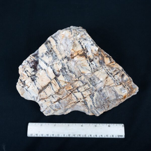 Porcelain Jasper Rough