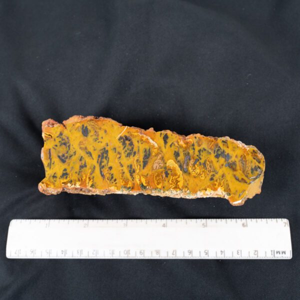 Tiger Jasper Specimen
