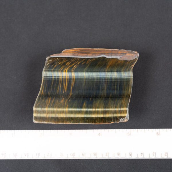Tiger Eye Specimen