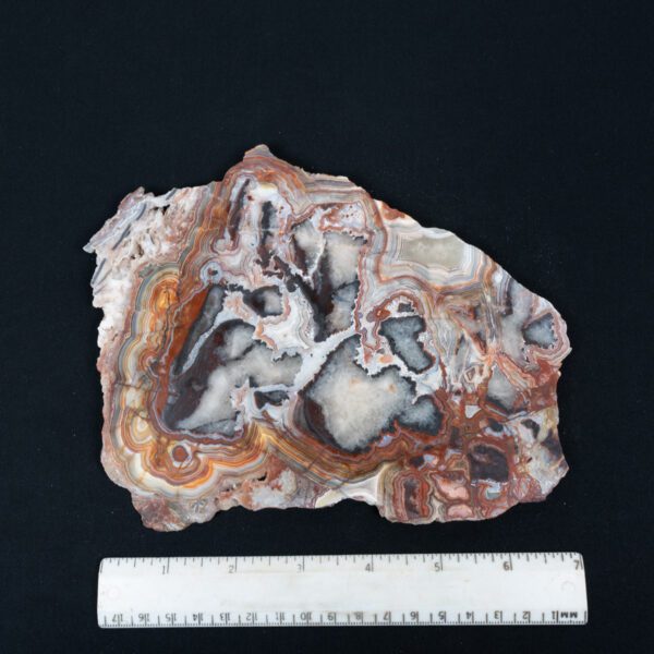 Unpolished Crazy Lace Agate Slab