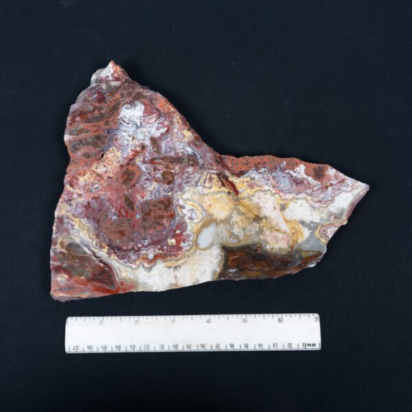 Unpolished Crazy Lace Agate Slab