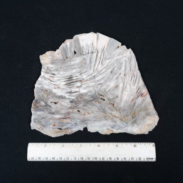 Unpolished Lattice Agate Slab