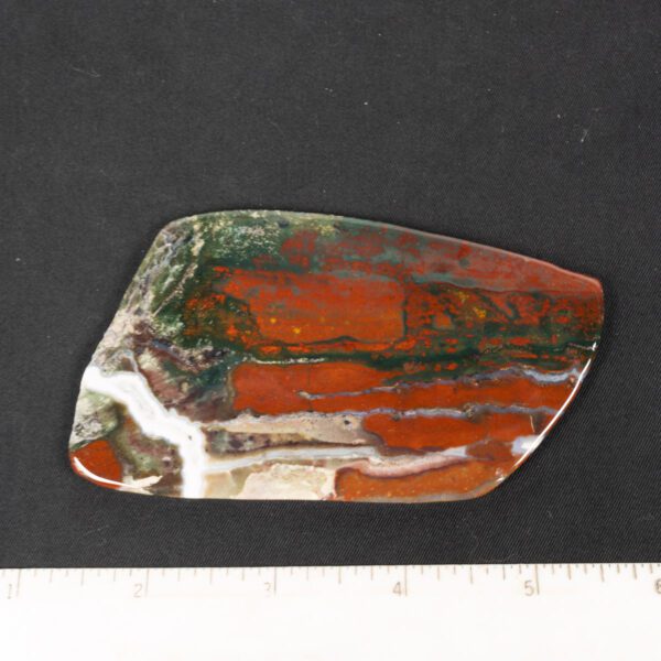 Zebra Jasper Slab