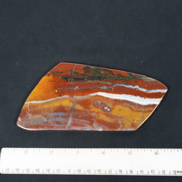 Zebra Jasper Slab