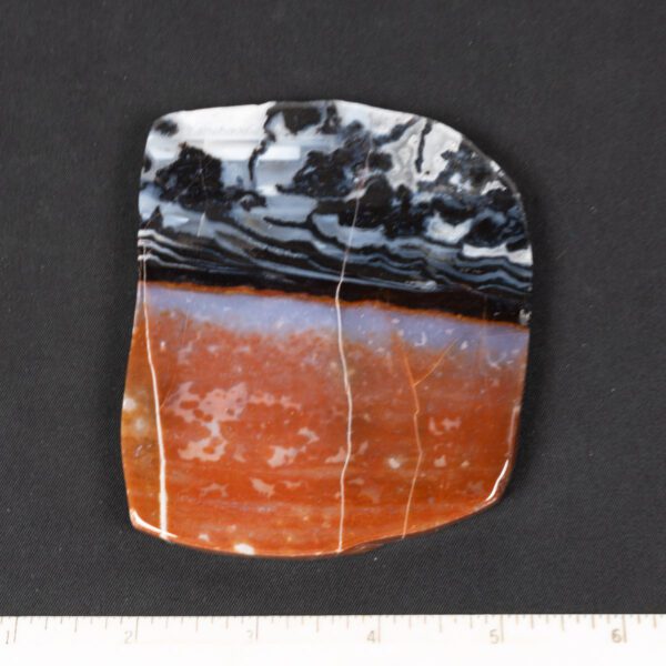 Zebra Jasper Slab