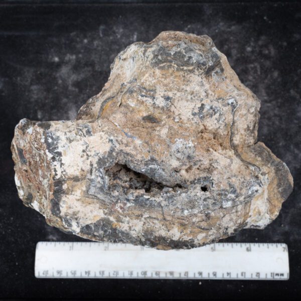 Big Diggins Agate Rough